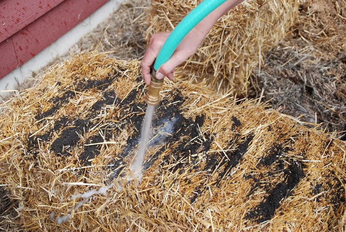 Create a Garden Anywhere with Straw Bale Gardening