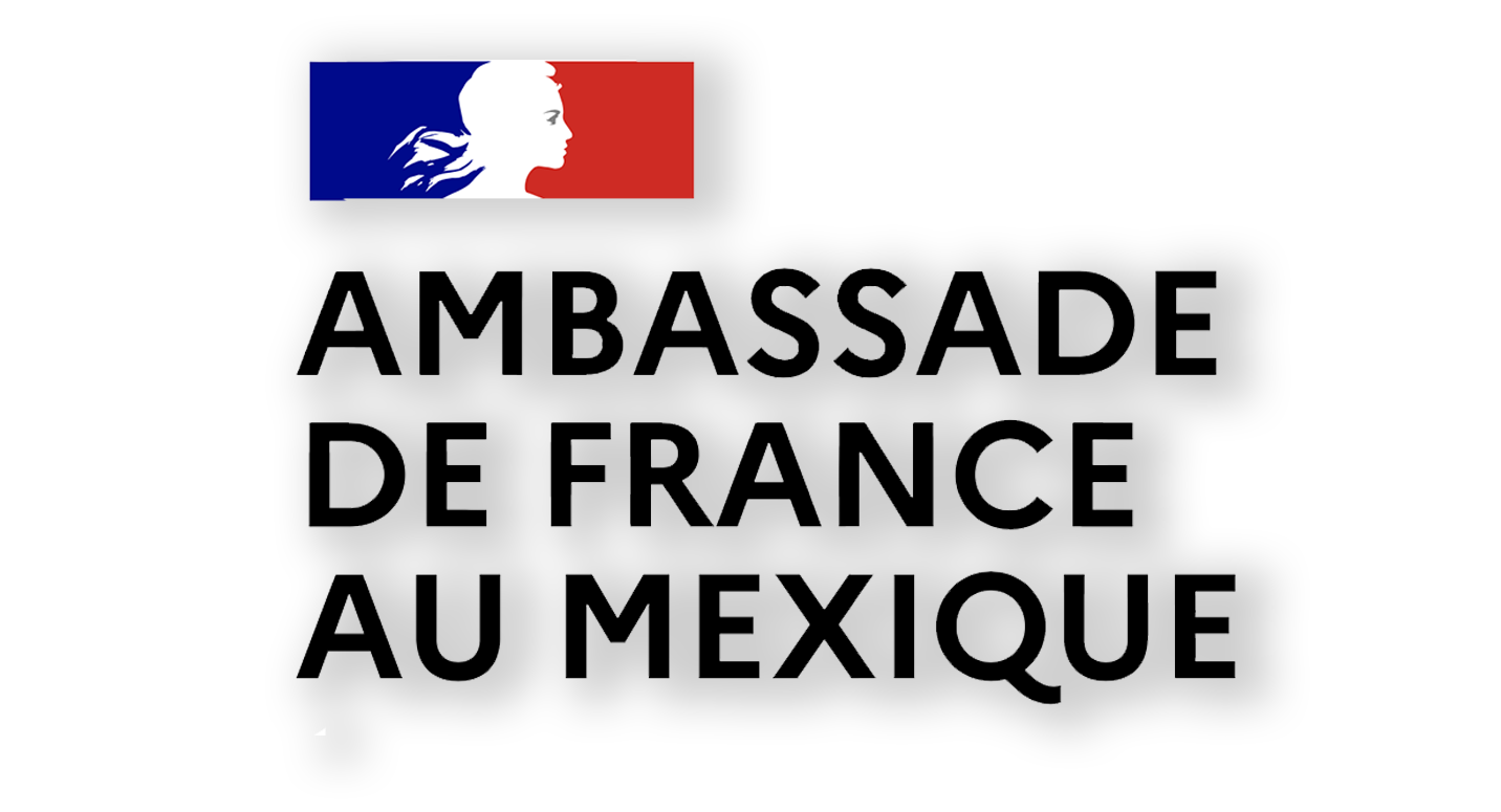 Ambassade France.png