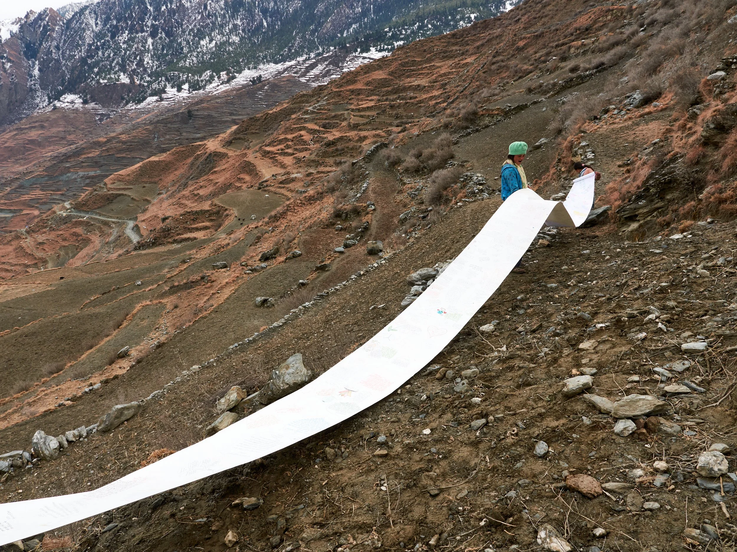 DOLPO OK.jpg