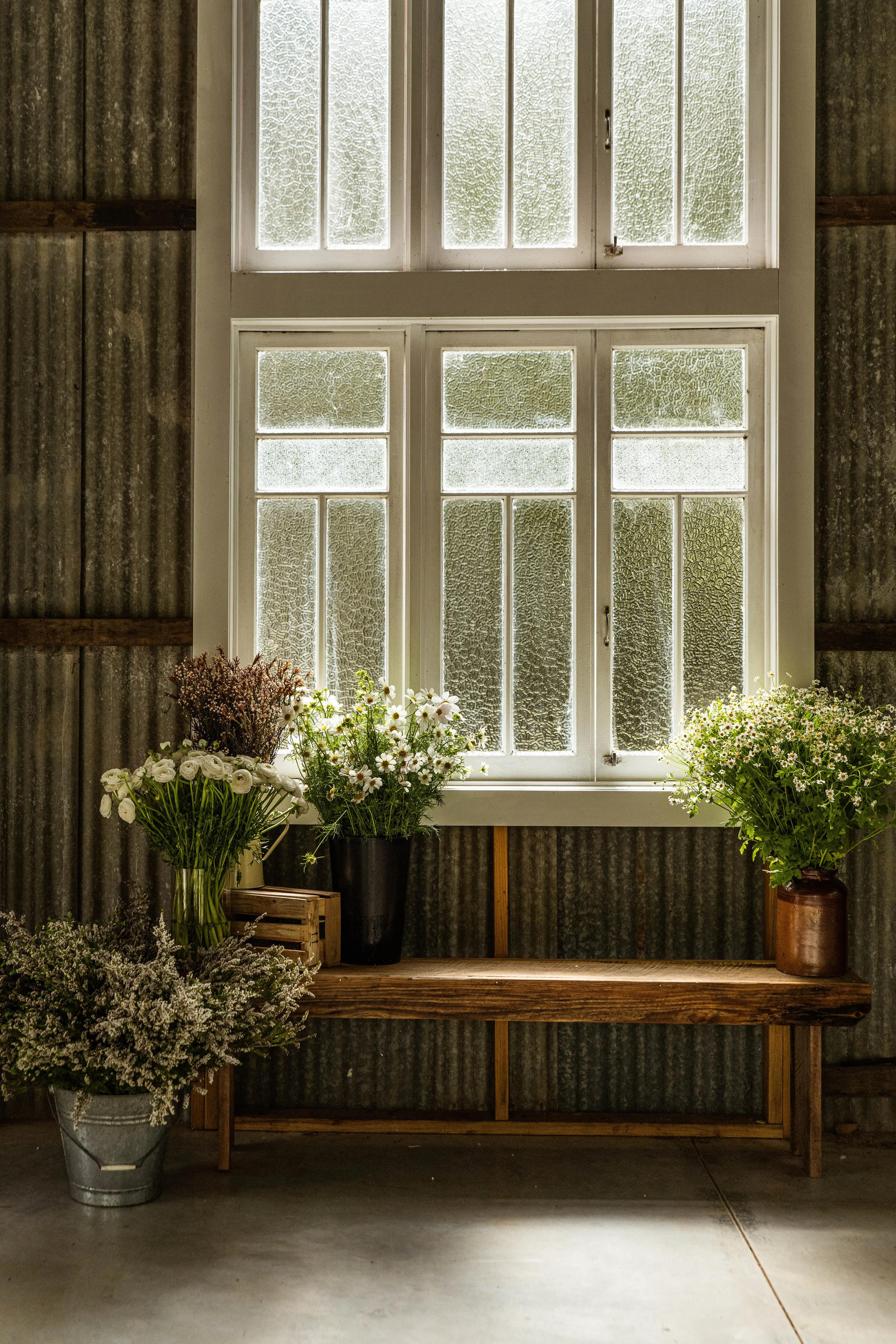 Lydia's Garden  (22 of 82).jpg