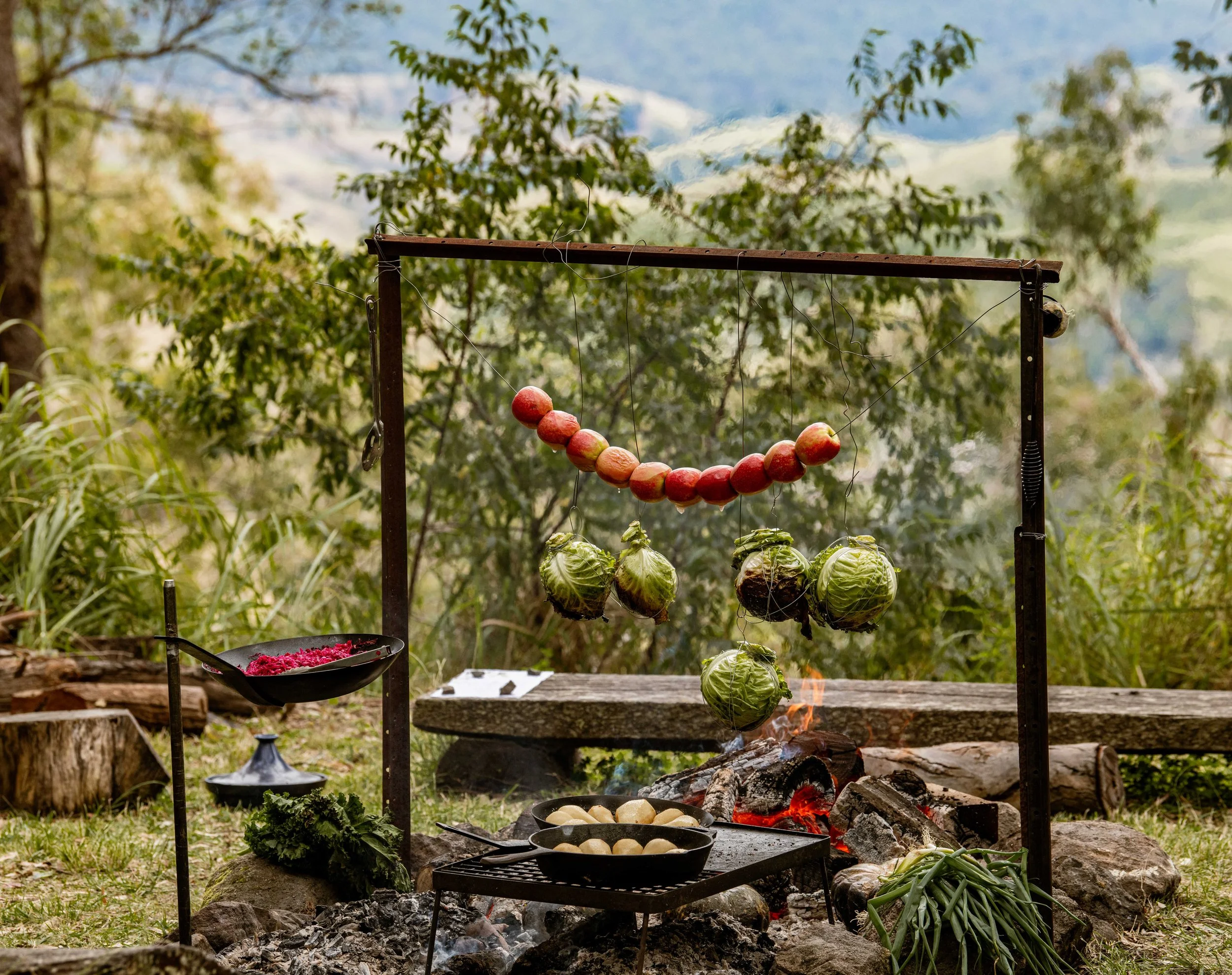 Campfire Lunch & Nature Immersion-12.JPG