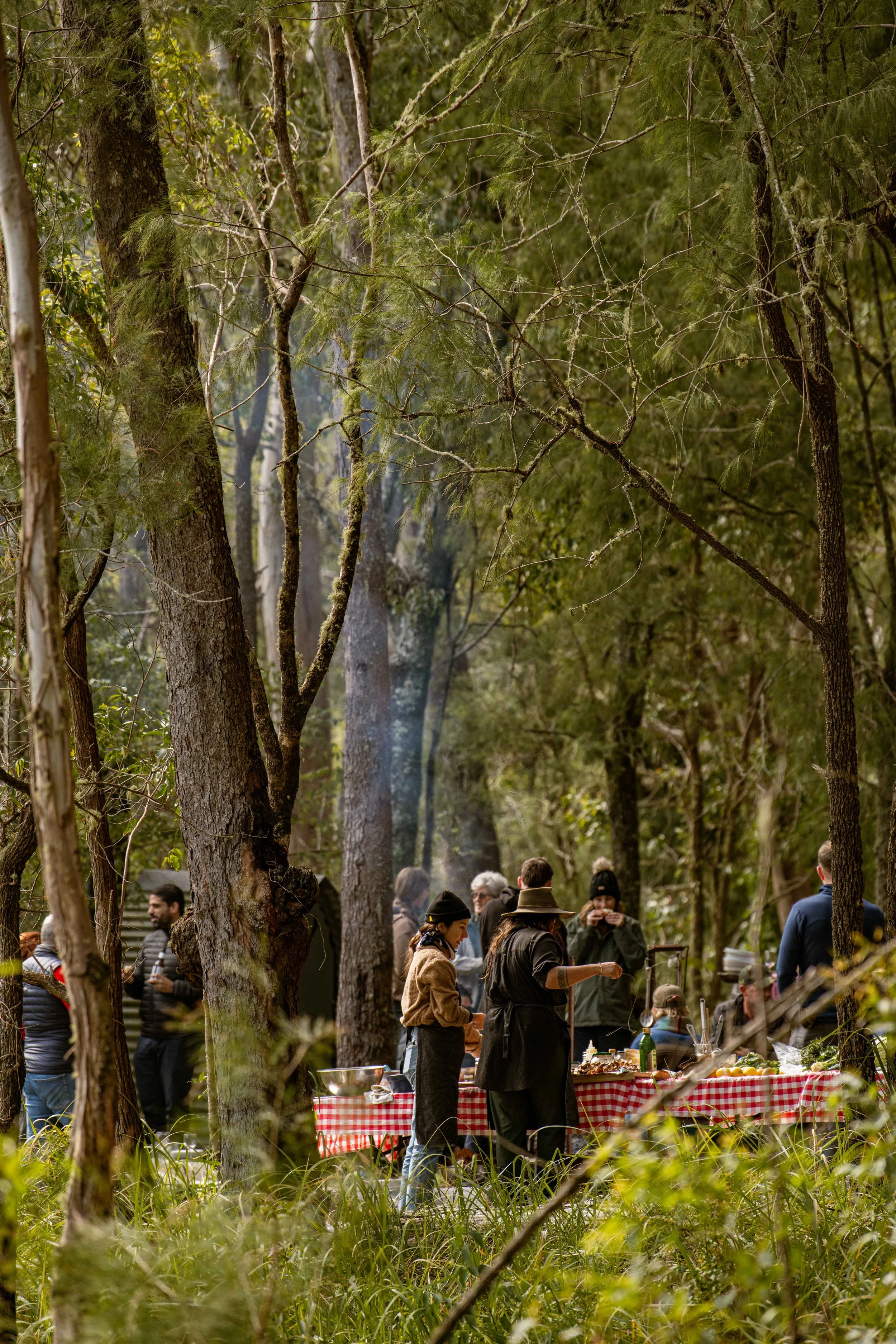 Campfire Lunch & Nature Immersion-32.JPG