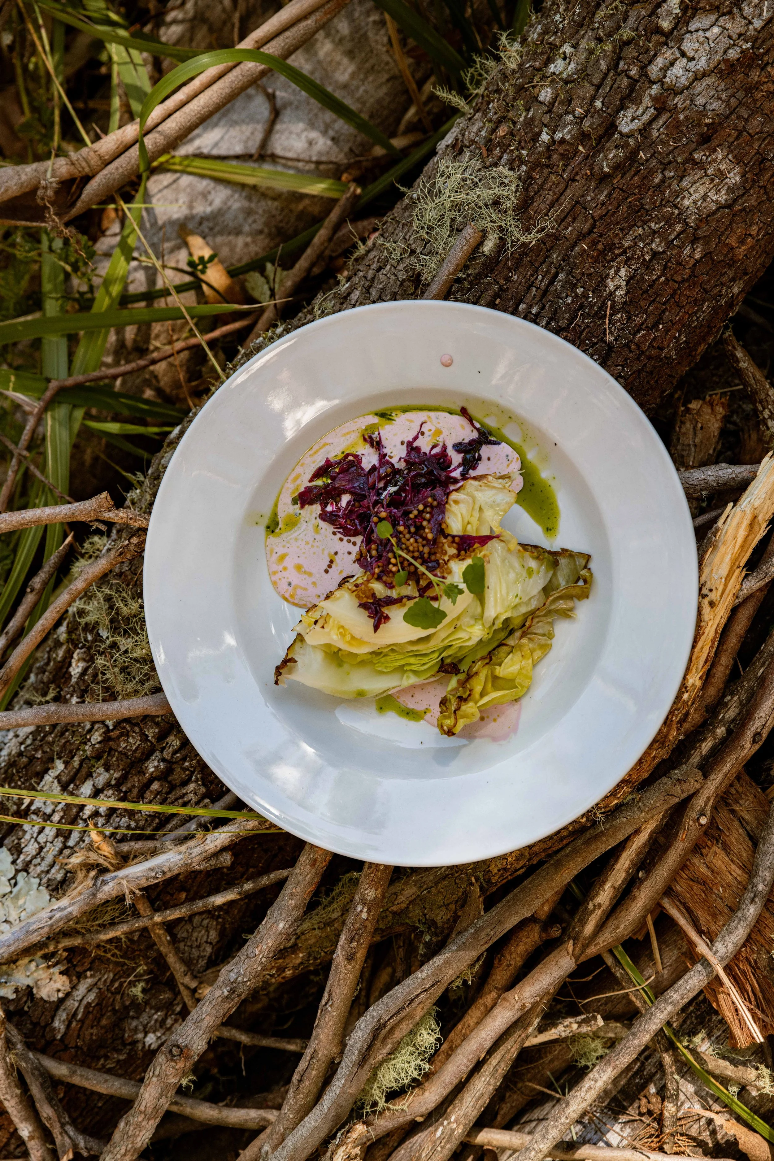 Campfire Lunch & Nature Immersion-101.JPG