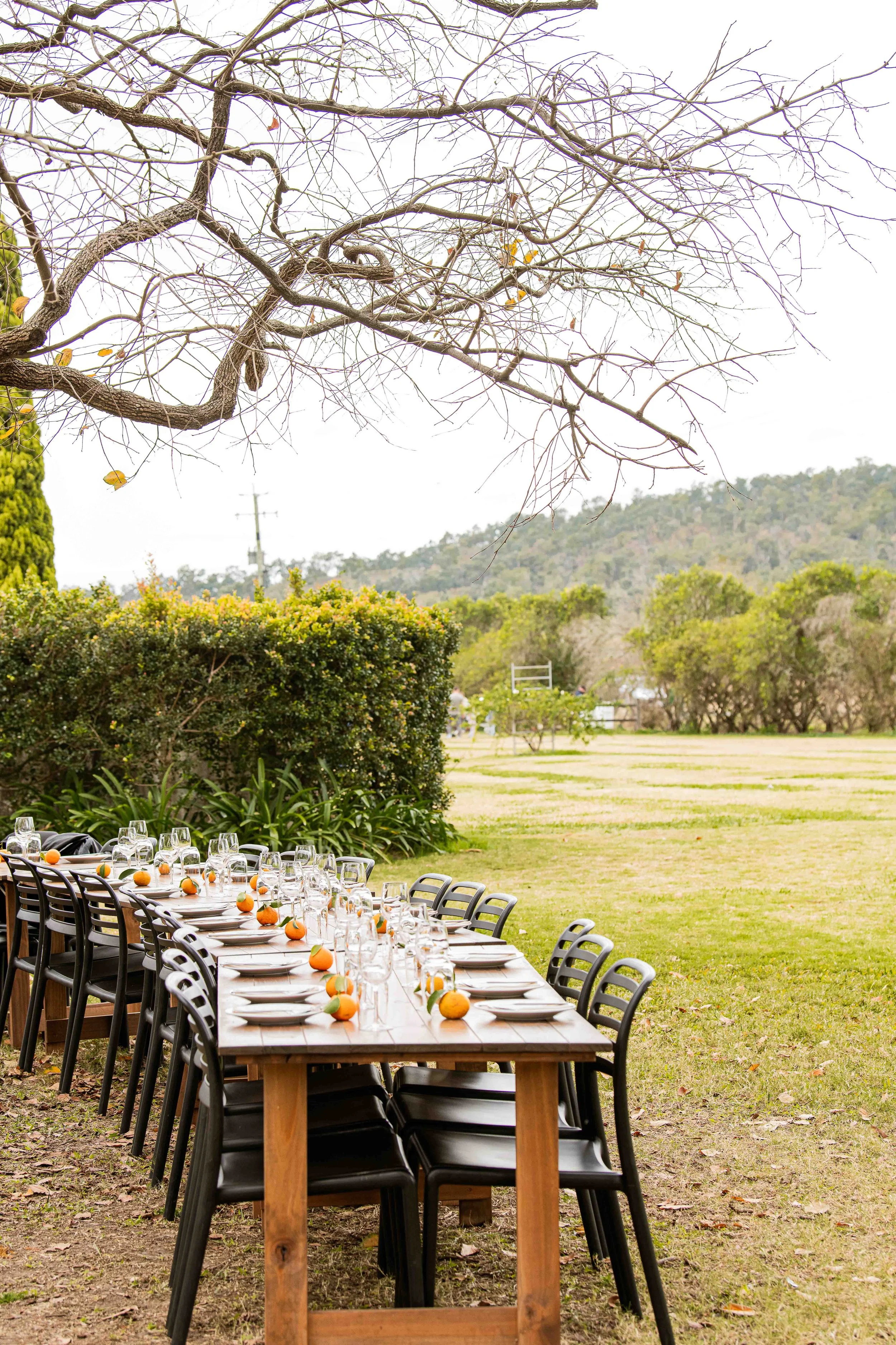 Progressive Paddock-4.JPG