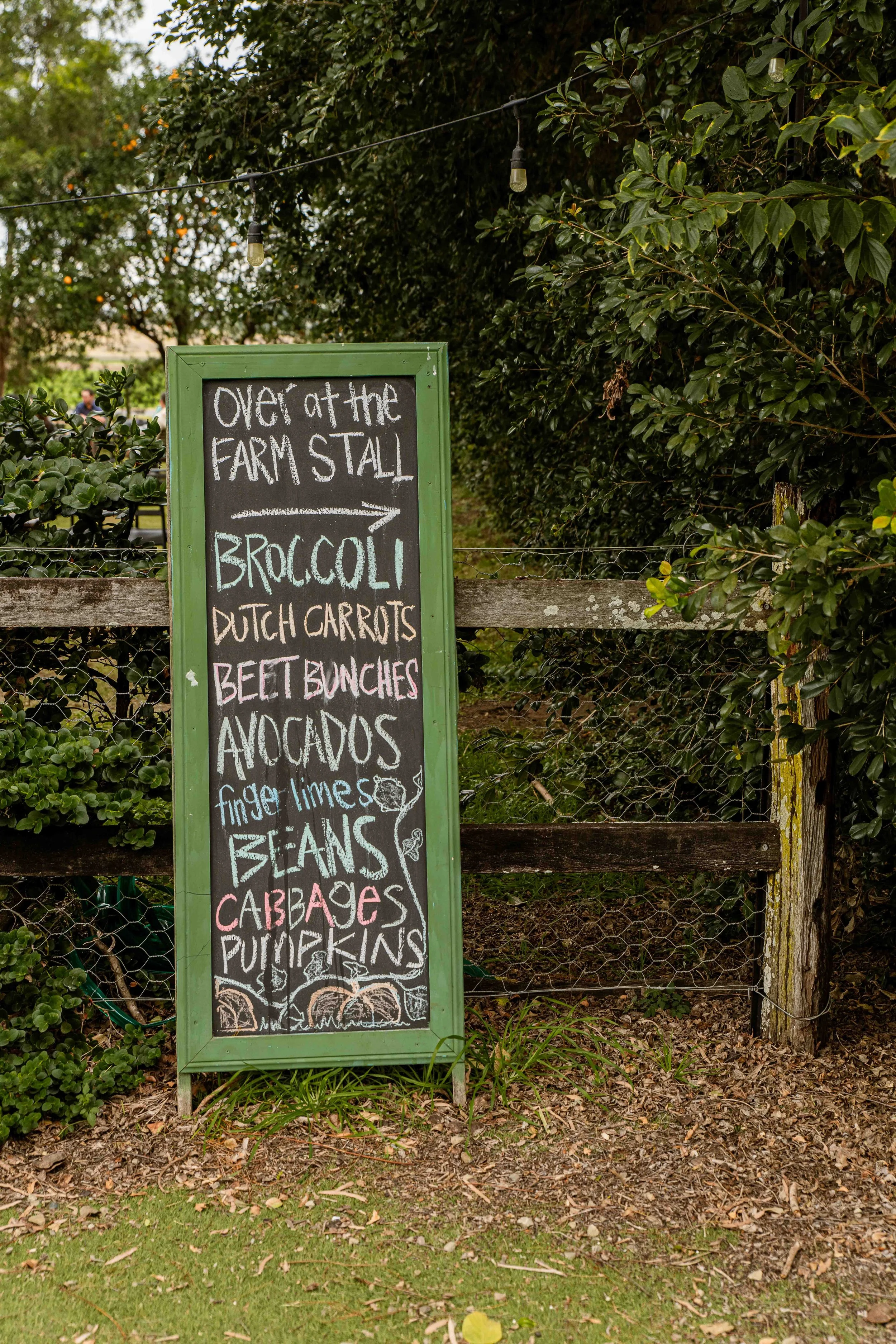 Progressive Paddock-64.JPG