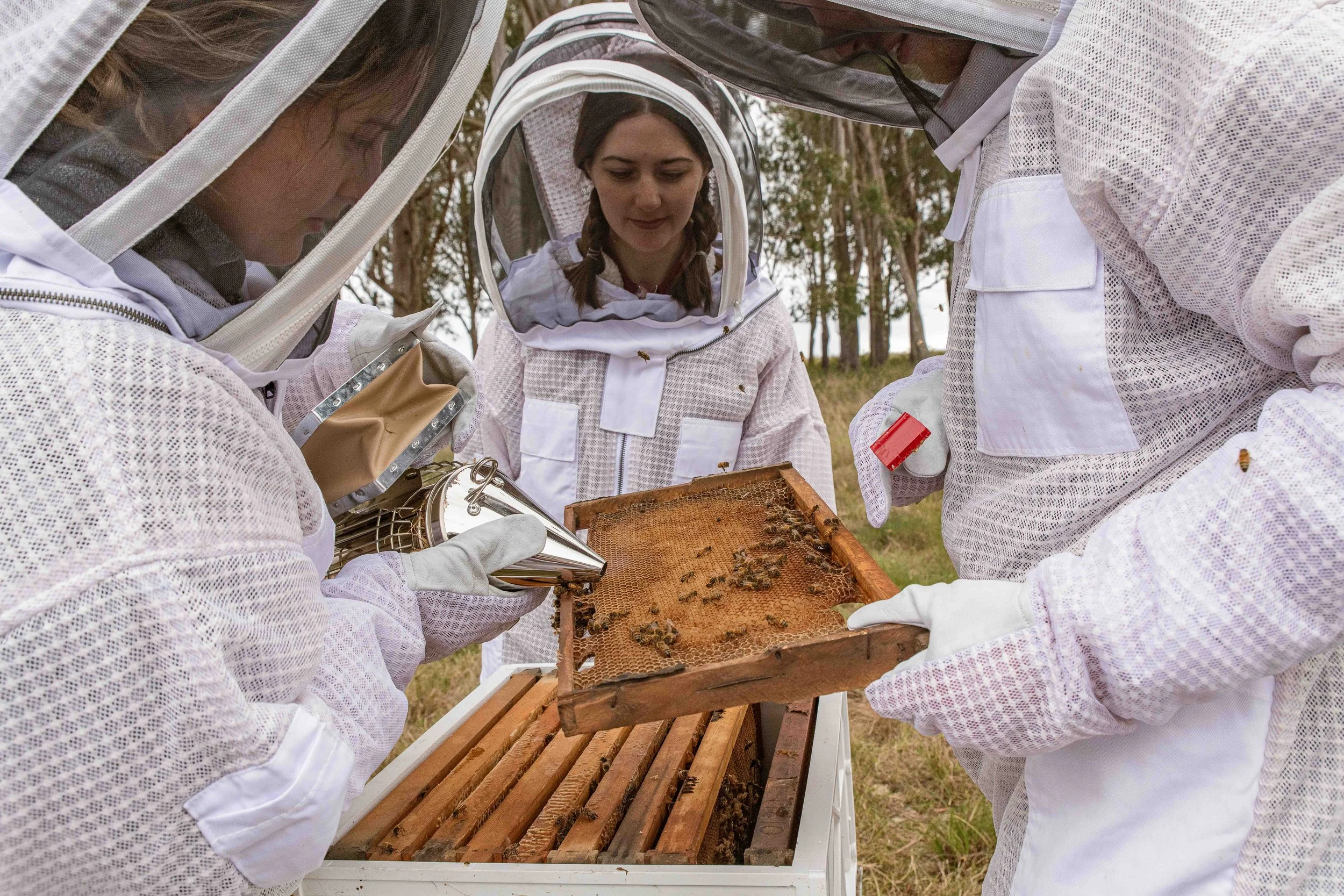 Bees & Cheese-66.JPG