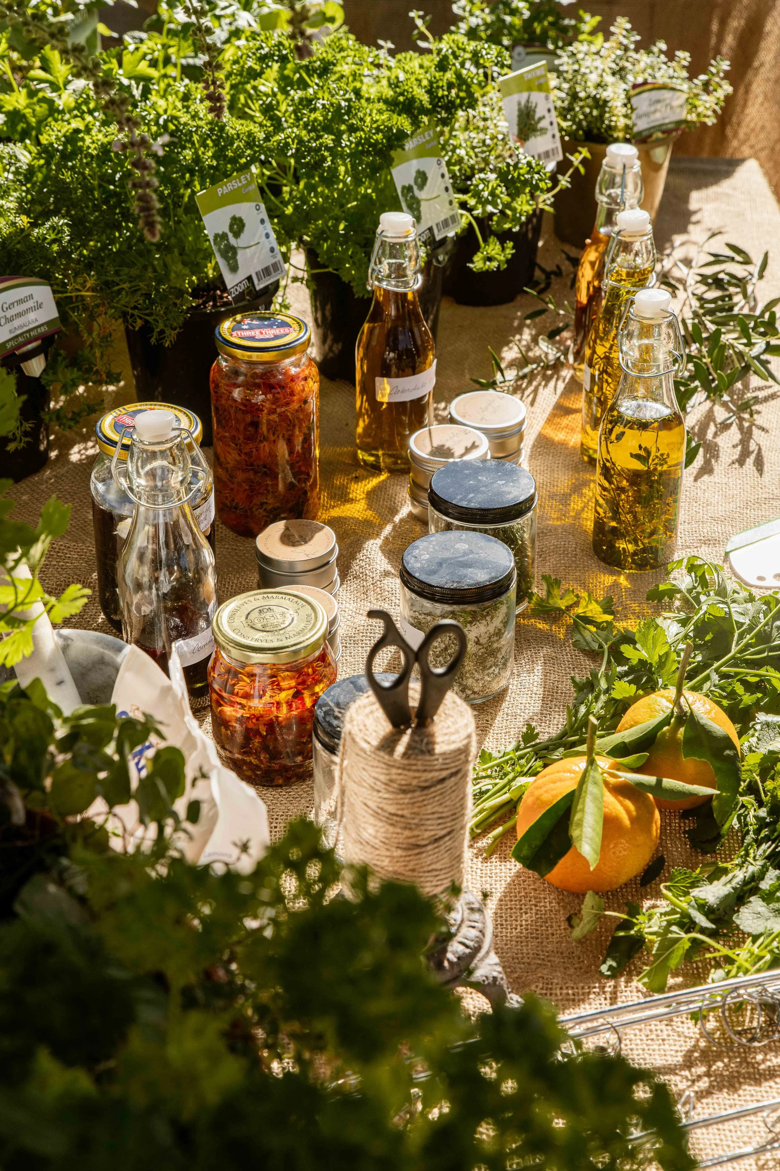 Build Your Own Garden-4.JPG