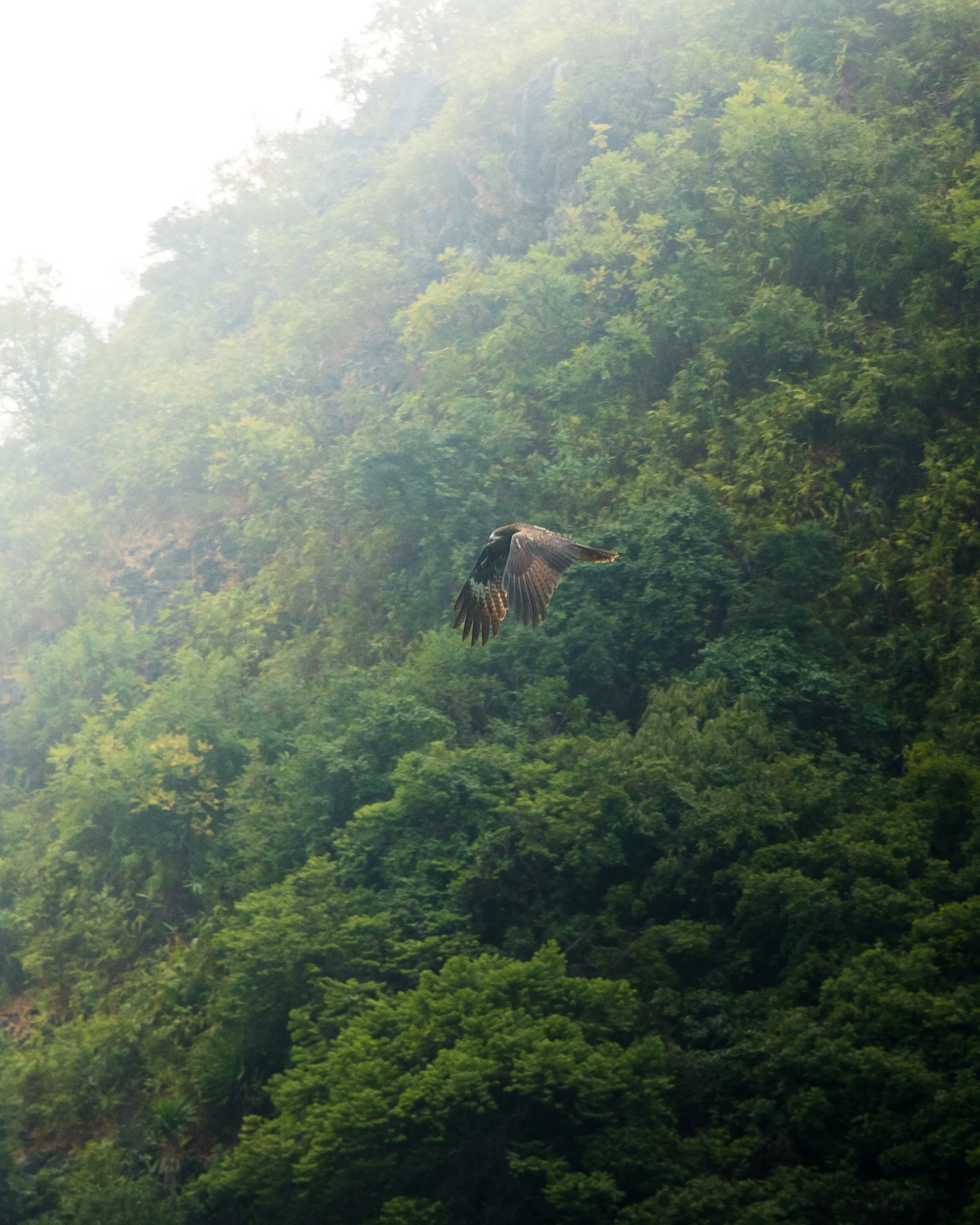 vietnam_hanoi_catba_ryan_hevern_photography (97 of 136).jpg