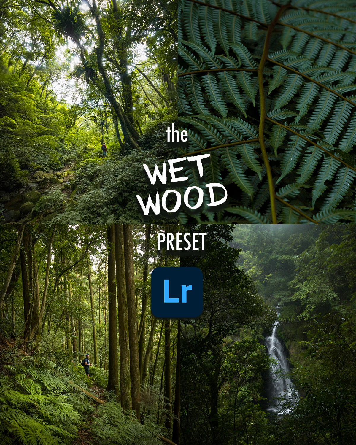 wet wood preset.jpg