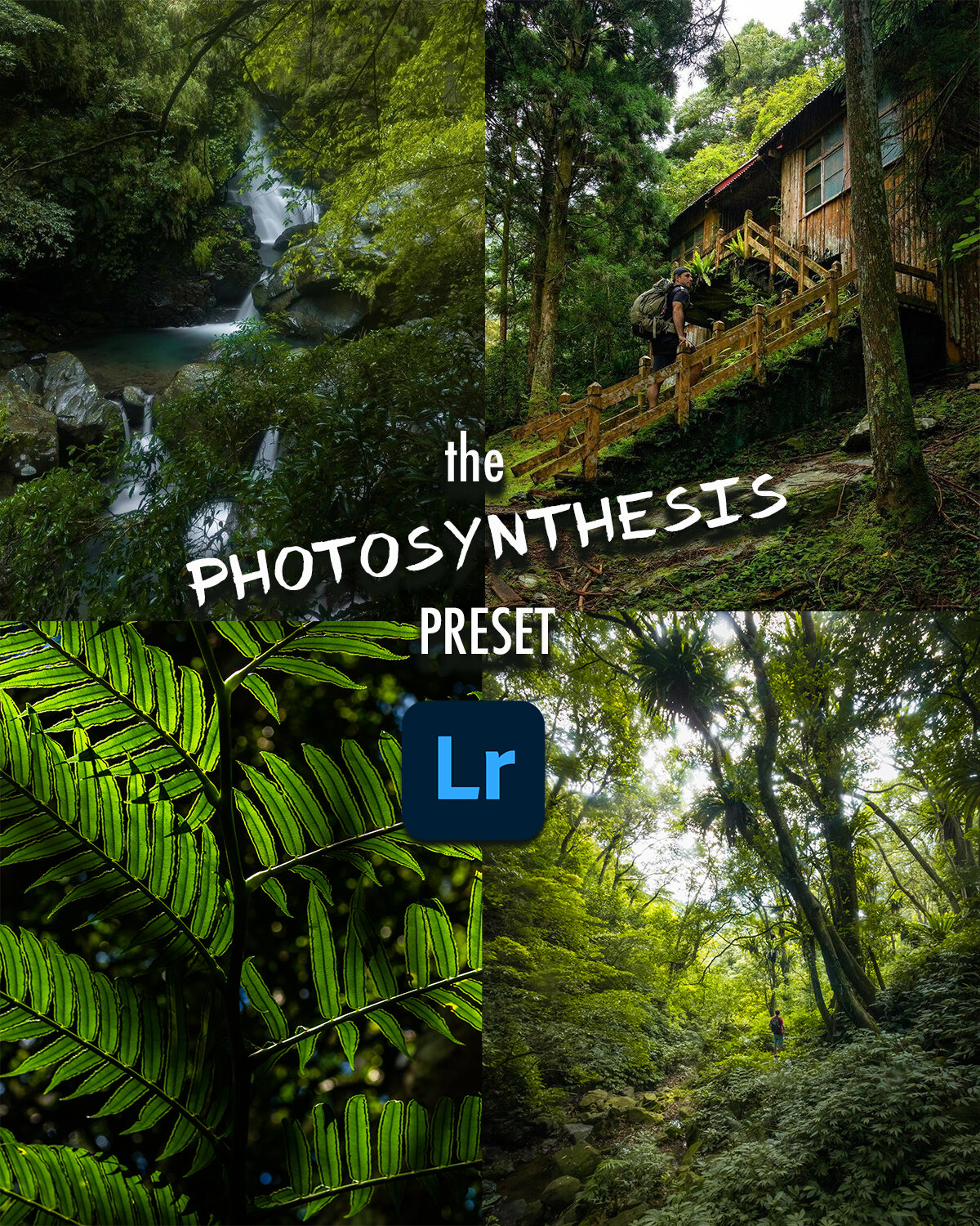 photosynthesis preset.jpg