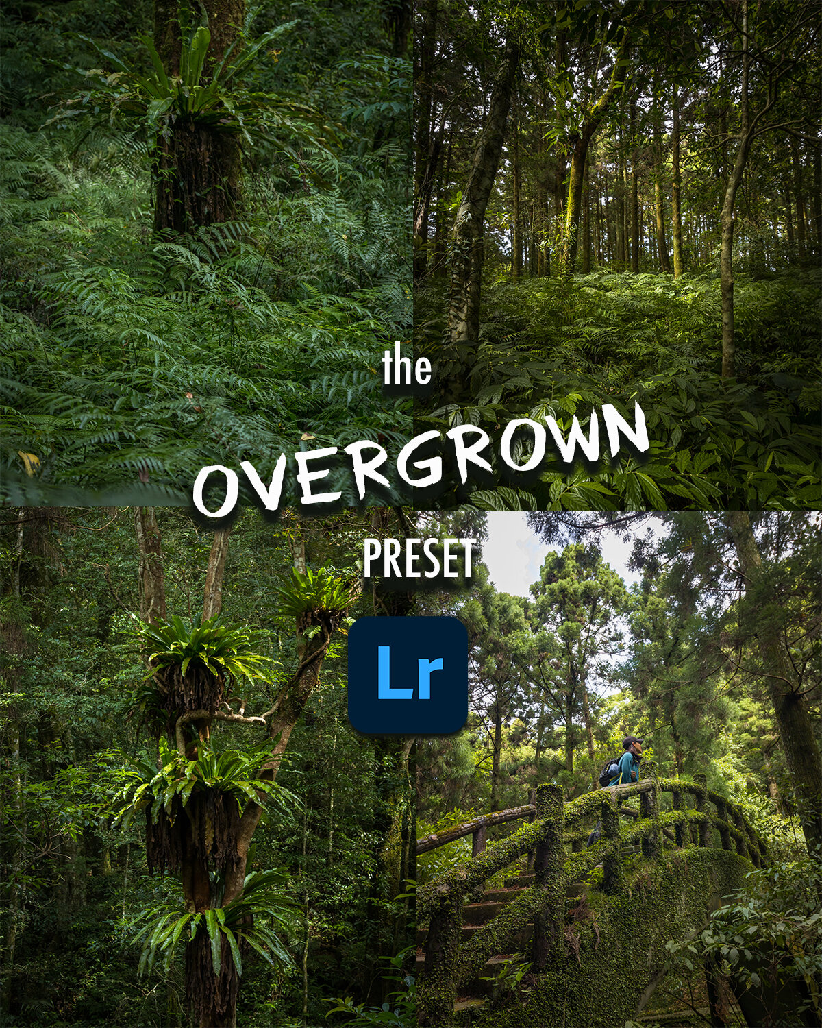overgrown preset.jpg