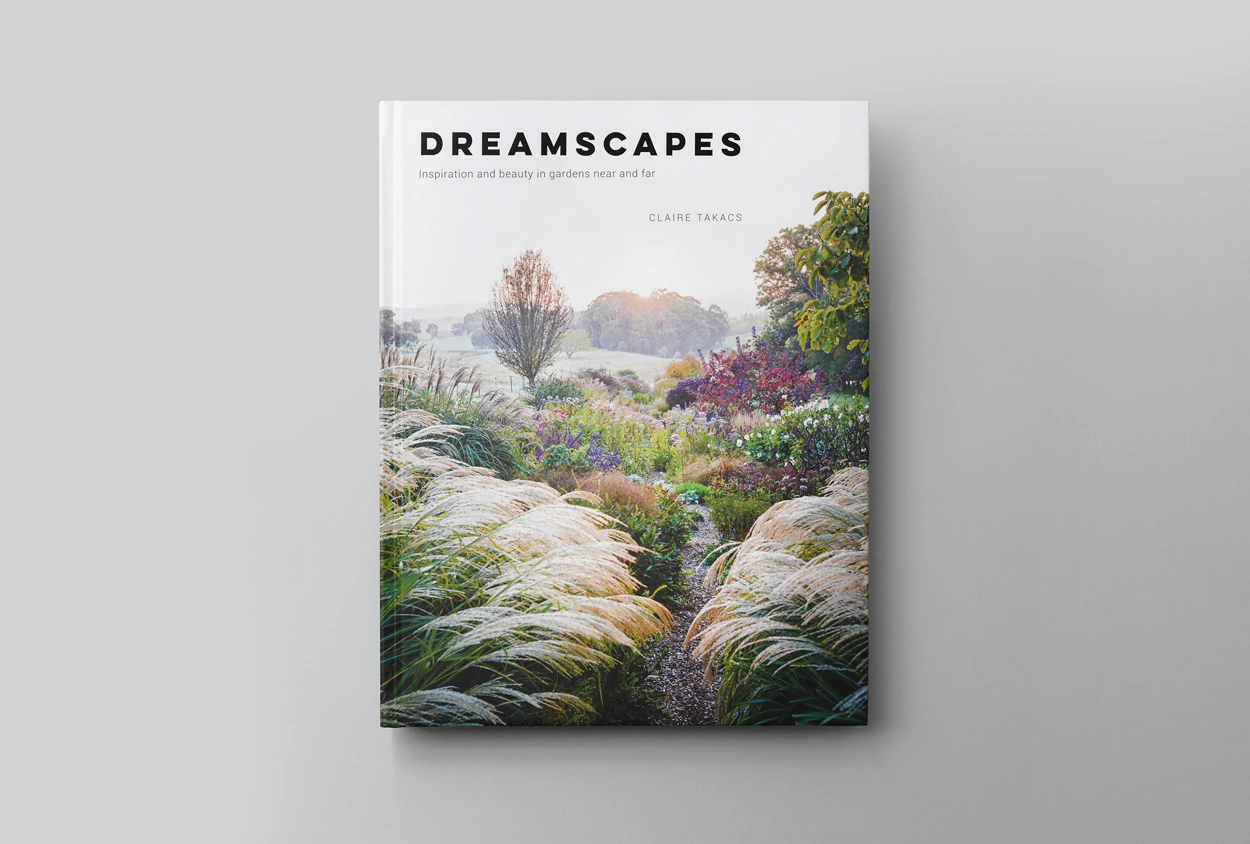 Dreamscapes