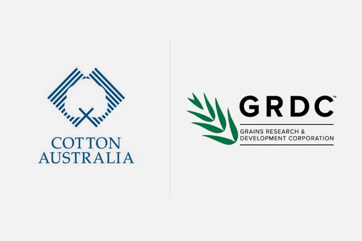 Cotton and grains industries applaud launch of AgSkilled 2.0 training program