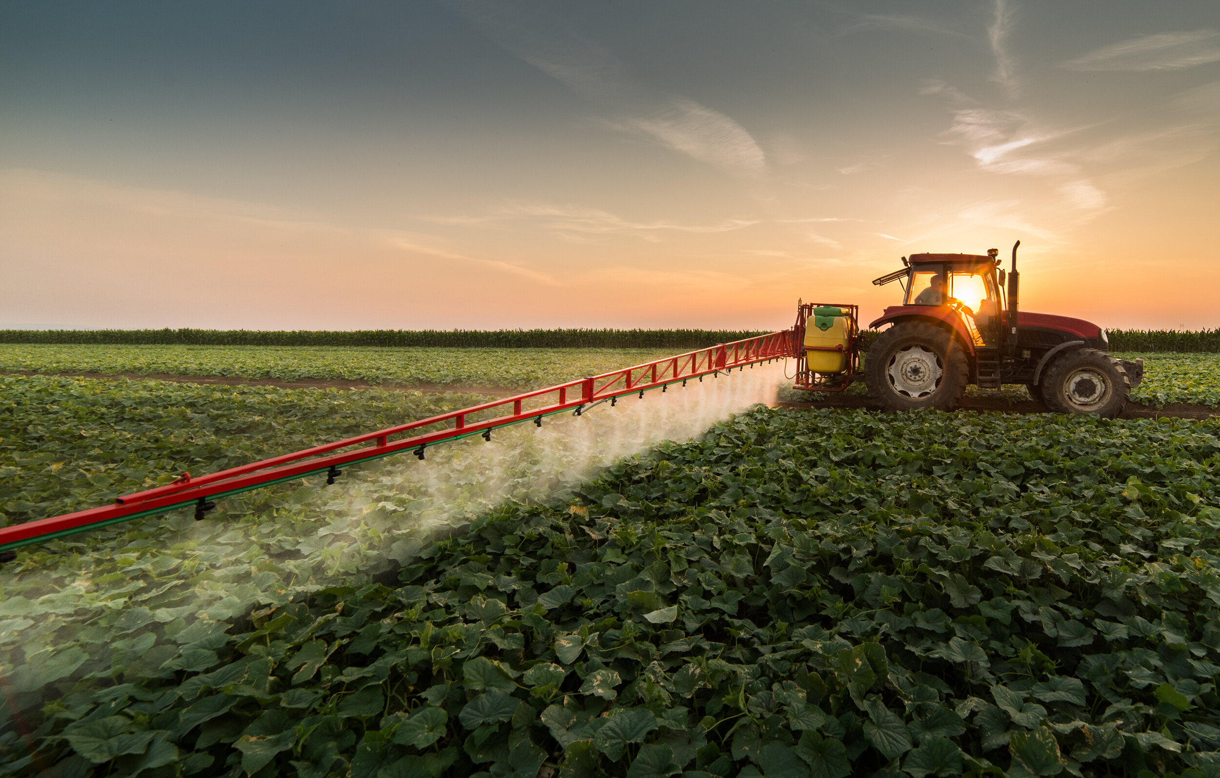 Broadacre Vegetable Spraying