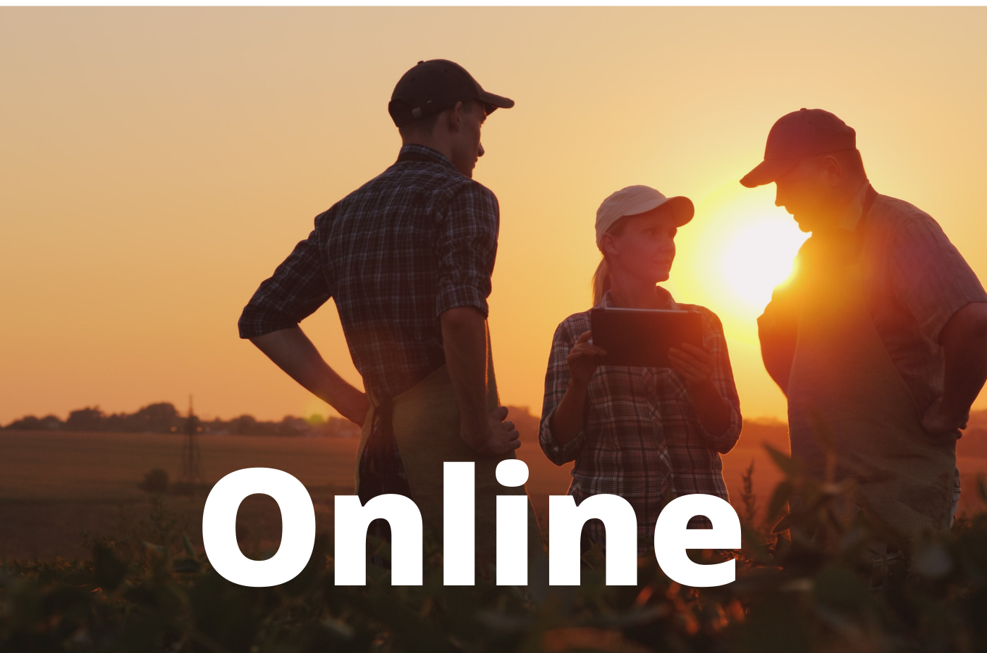 WHS &amp; HR Fundamentals