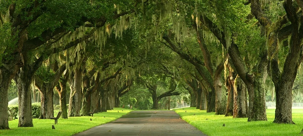 brooksville florida.jpg