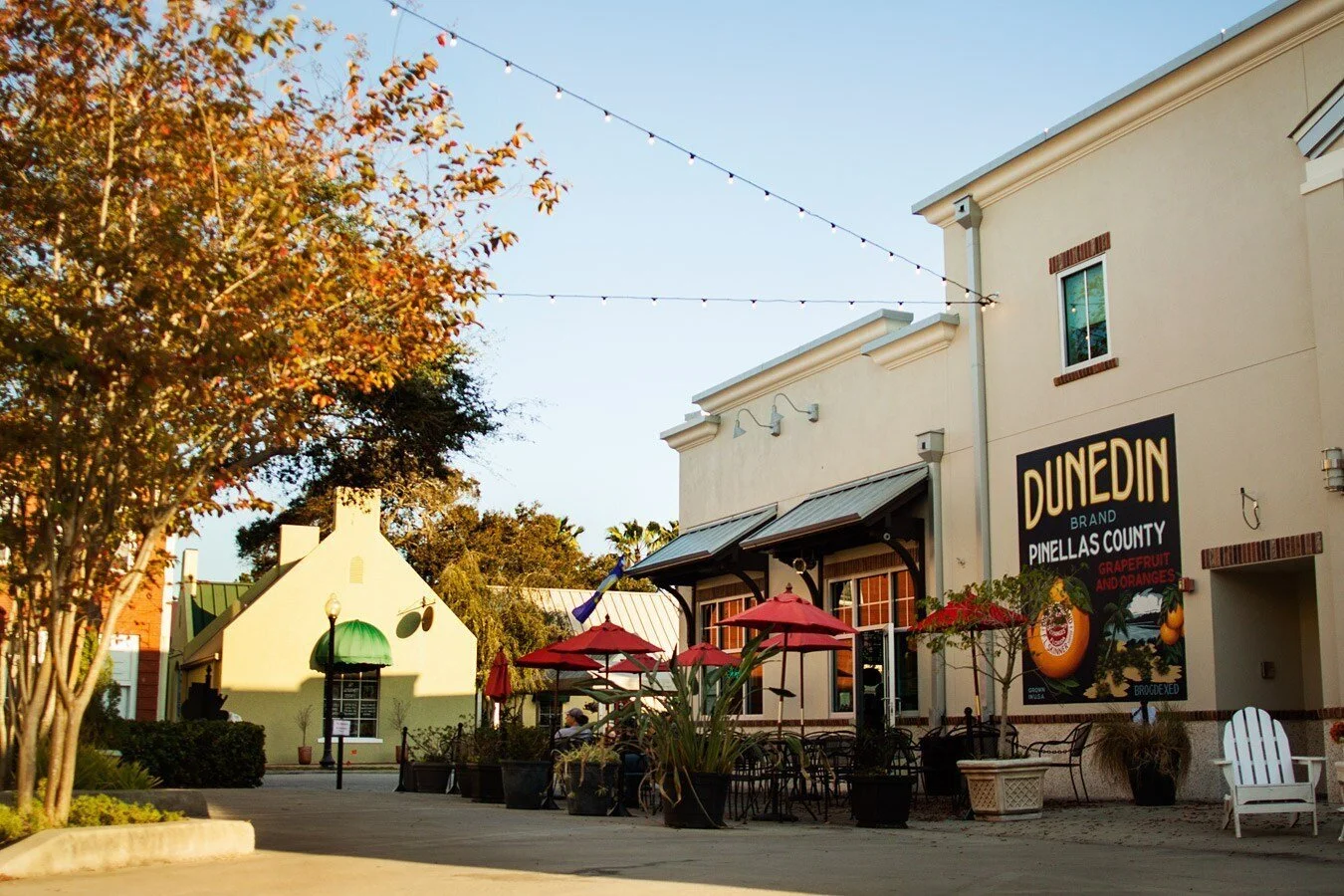 downtown-dunedin-florida-mural.jpg