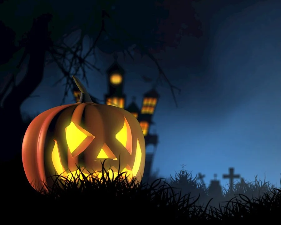 Fun Things To Do In The Tampa Bay Area This Weekend (10/28 - 10/30)