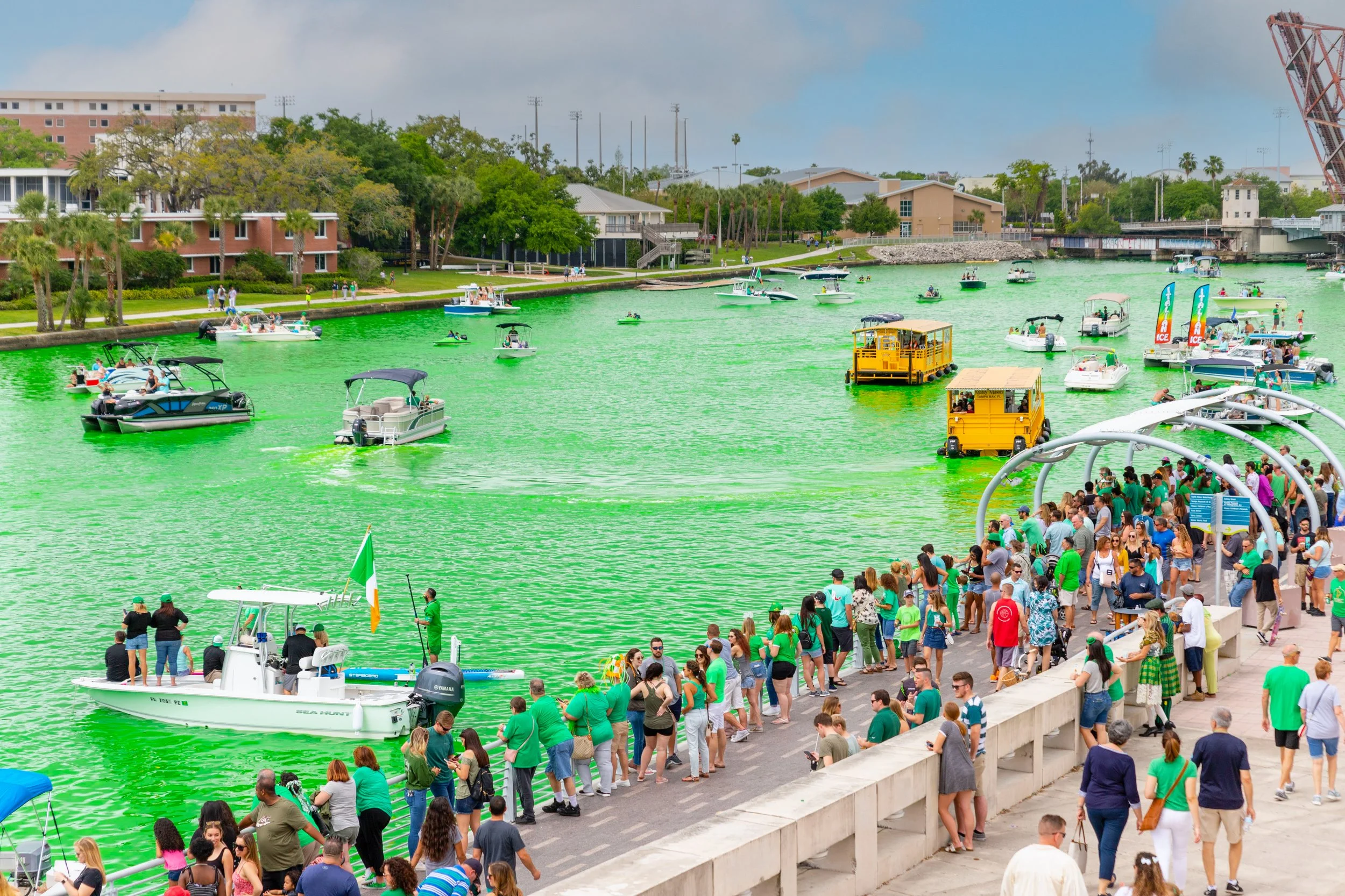 Things To Do This St. Patrick's Day Weekend In Tampa Bay (3/17-3/19)