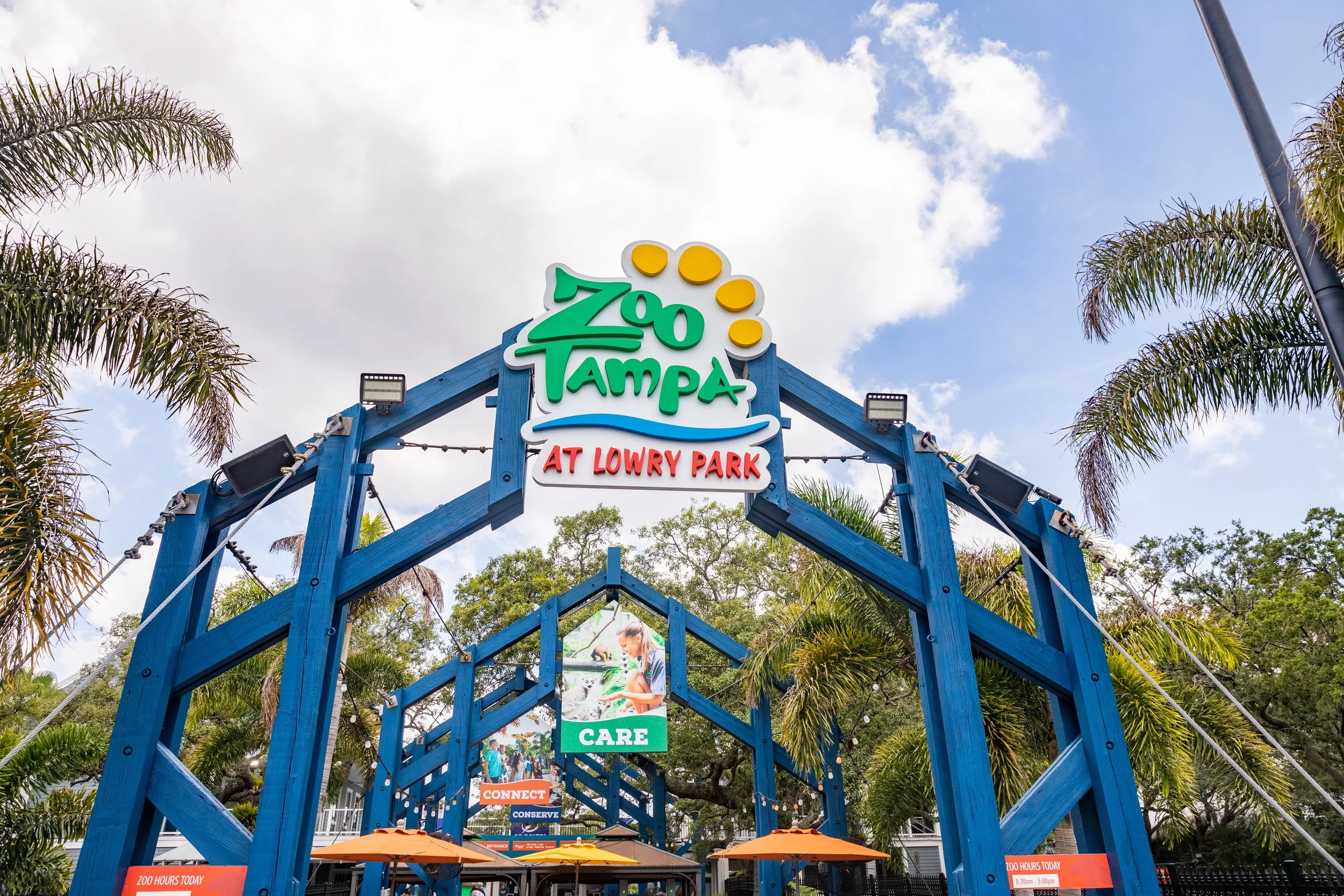  A Trip to Tampa's Lowry Park Zoo