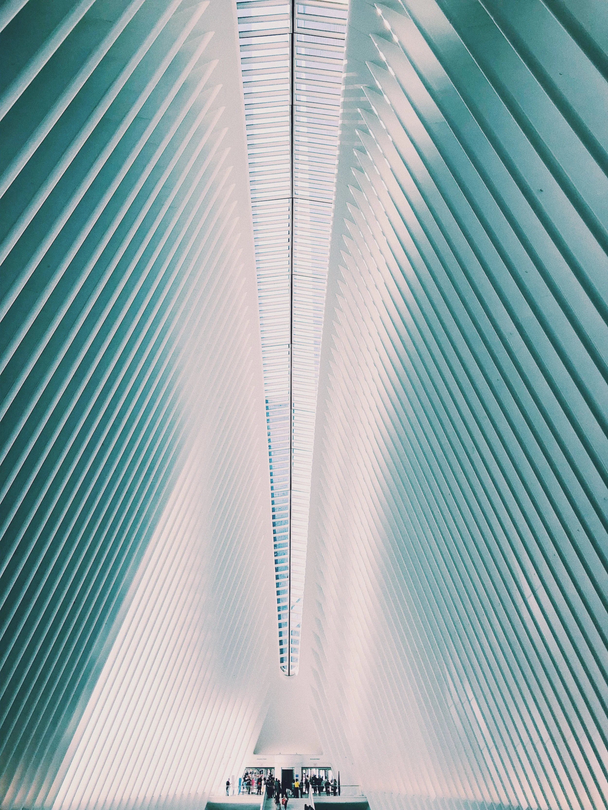 14C941AE-370F-4B75-AABF-F278DE55EF40.jpeg