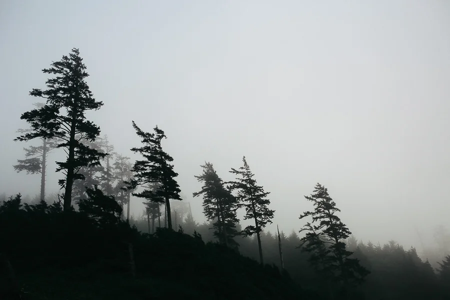 Travel-63.jpg