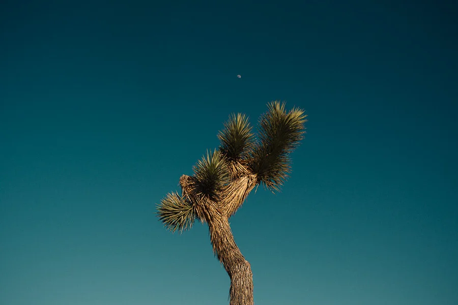 Travel-21.jpg
