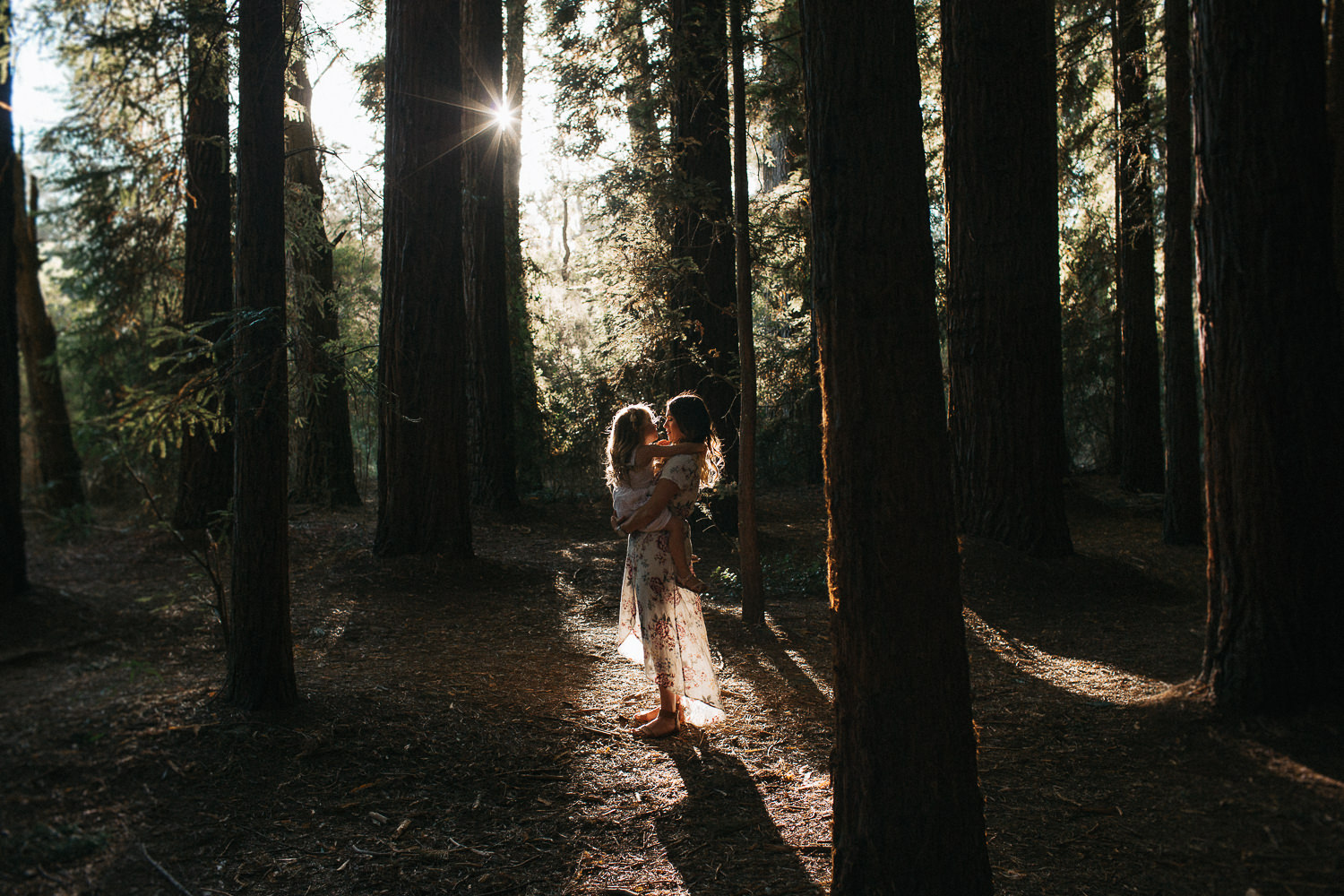 redwood-forest-lifestyle-family-photography-1.jpg