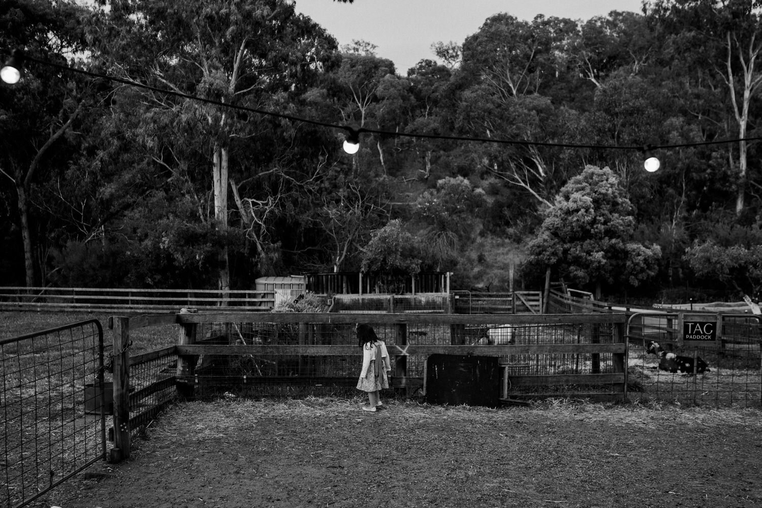 collingwood-childrens-farm-alternative-wedding-photography_0134.jpg