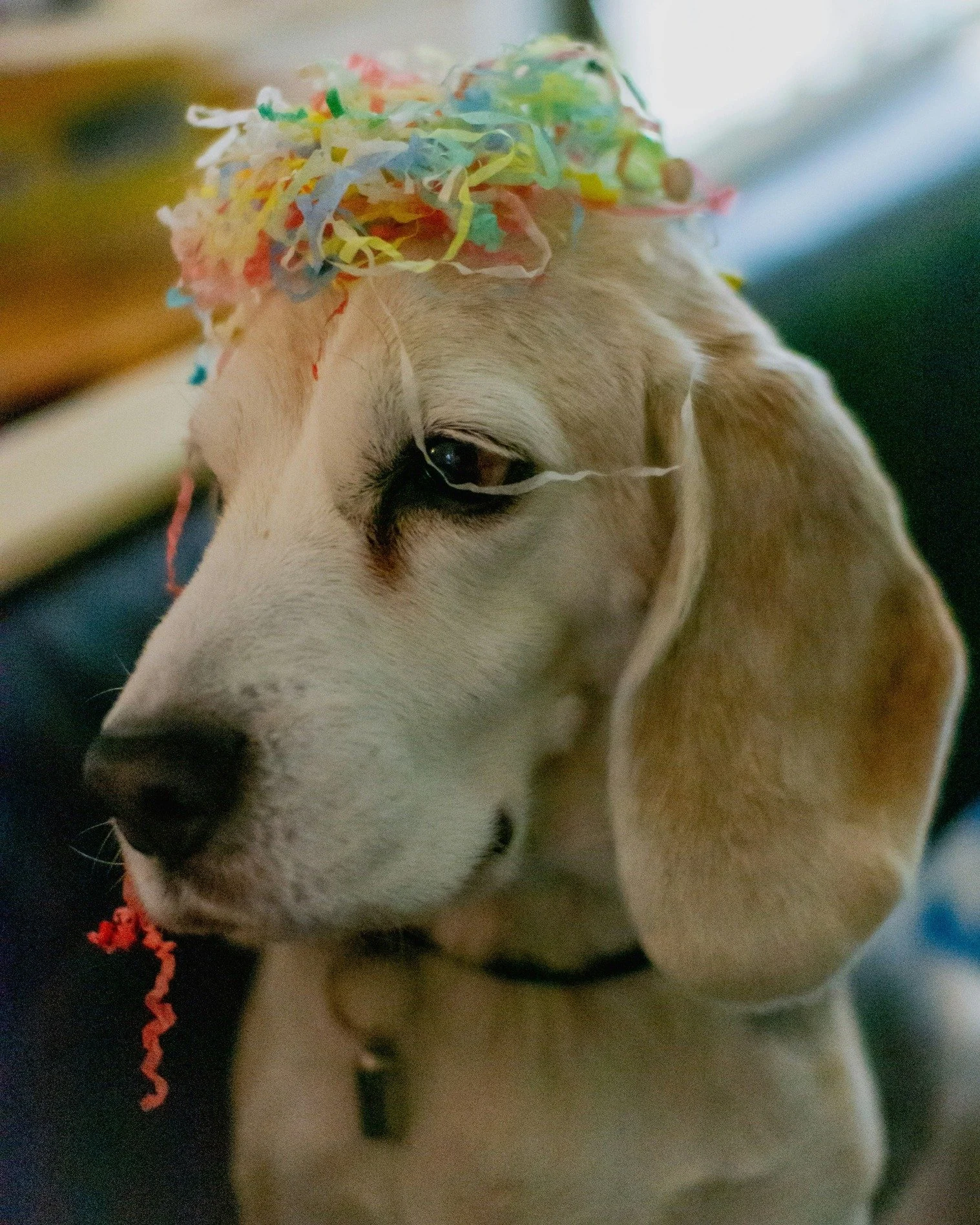 🎉✨ Silvester ✨🎉

Wir sind f&uuml;r einen Jahreswechsel mit Ruhe, mit Sicherheit und mit einem achtsamen Umgang miteinander. ❤️💚💙

👉 Bitte beachtet bei uns auf dem Klinikgel&auml;nde:
&bull; Auf dem gesamten Gel&auml;nde gilt Alkoholverbot
&bull;