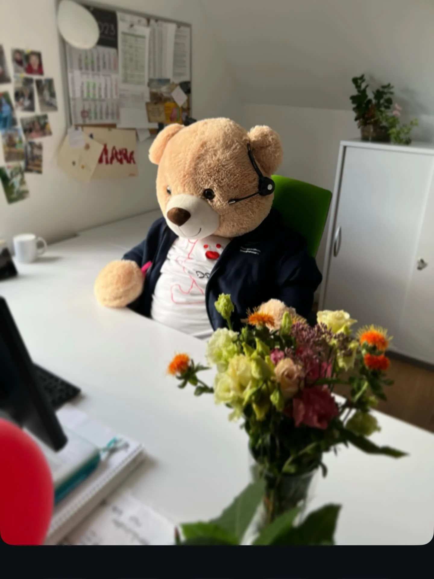 Ein kleiner Blick hinter die Kulissen im B&uuml;ro
👀✨👀✨👀✨👀✨

Neben Meetings, Ideen und Austausch gibt es bei uns auch einen ganz besonderen &bdquo;Mitarbeiter&ldquo; in der Reservierung: 🧸 Bruno der B&auml;r &ndash; immer konzentriert, immer im 