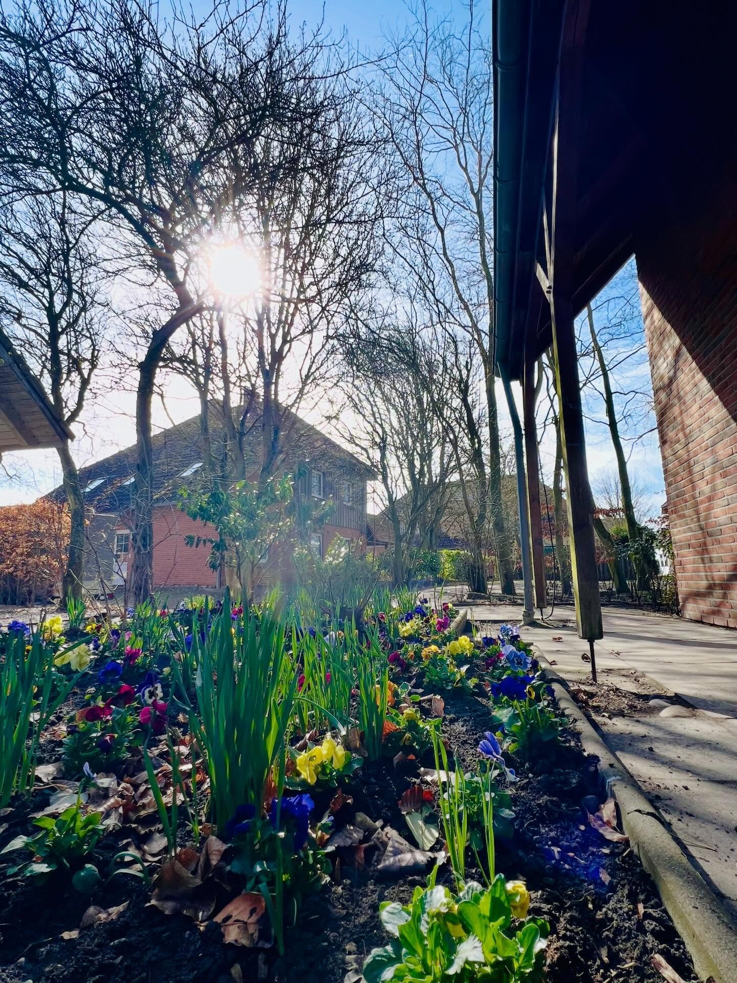 Der Fr&uuml;hling ist zur&uuml;ck im Therapeutikum Westfehmarn 🌸☀️🌸☀️🌸☀️🌸☀️

Unsere gr&uuml;nen Anlagen erstrahlen wieder in voller Pracht &ndash; liebevoll bepflanzt und gepflegt mit vielen bunten Bl&uuml;ten, die jeden Spaziergang ein kleines b