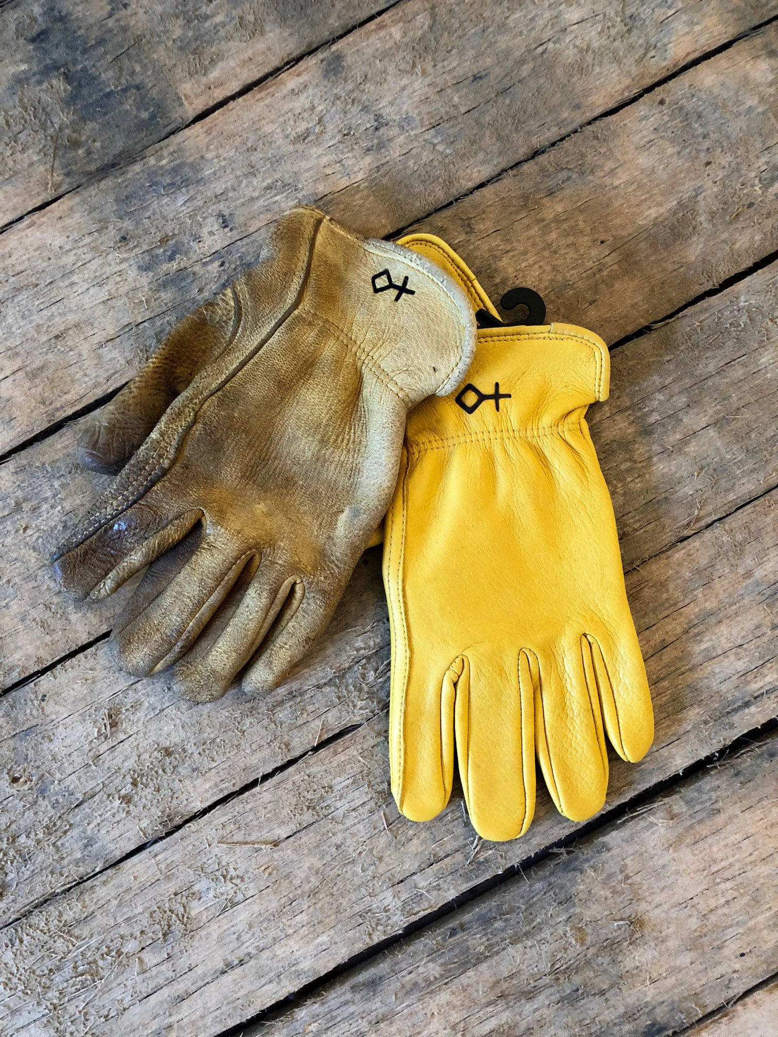 glove-4.jpg