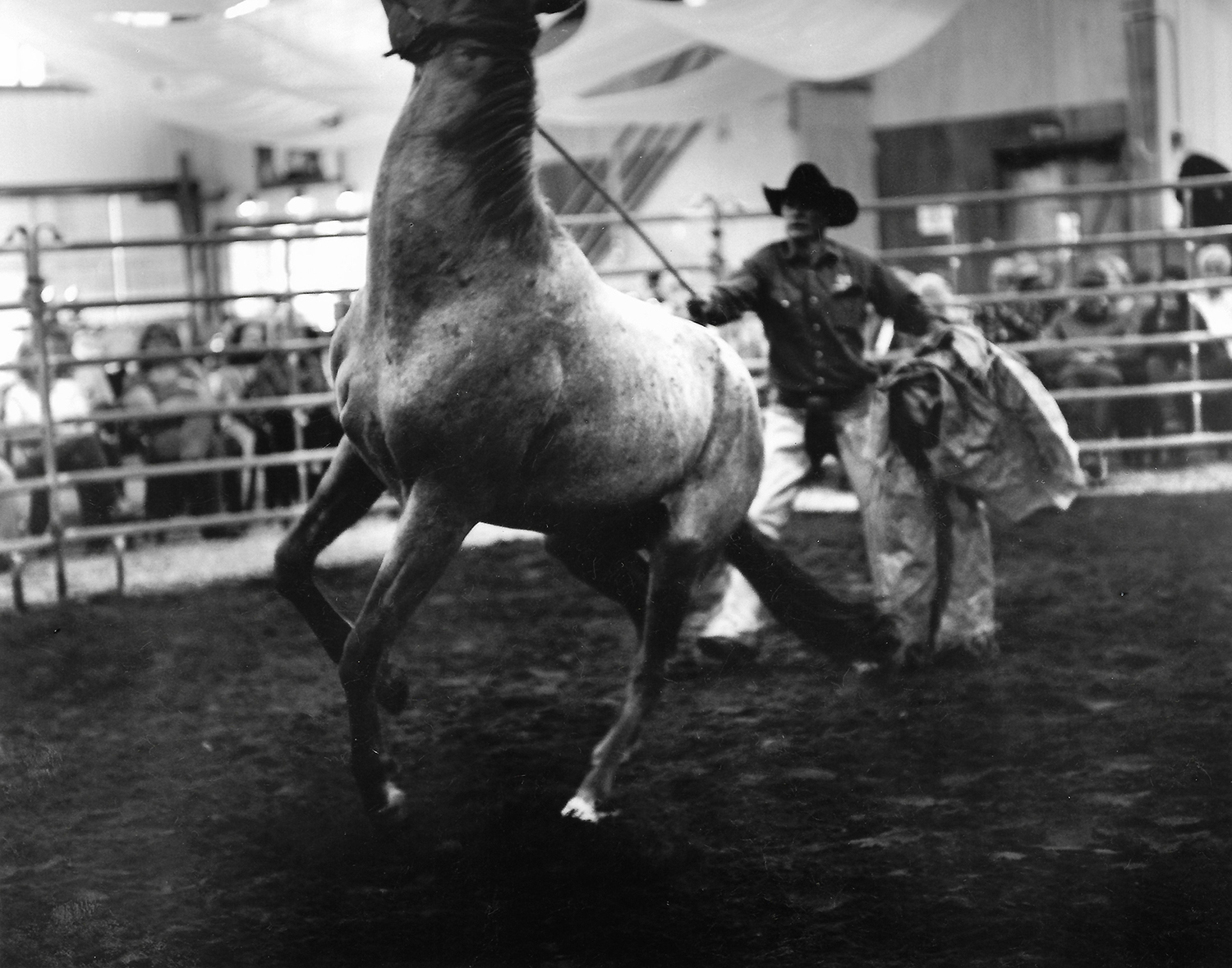 Wyoming_Brids_Scans_0049.jpg