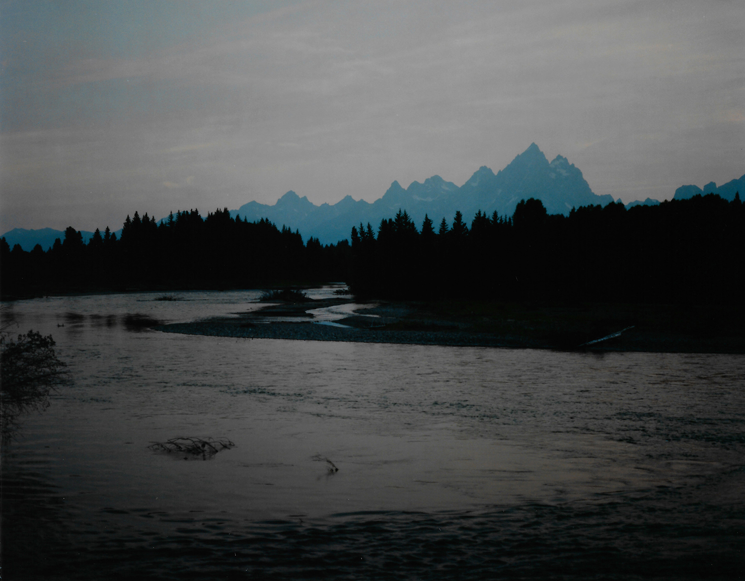 Wyoming_Brids_Scans_0062.jpg