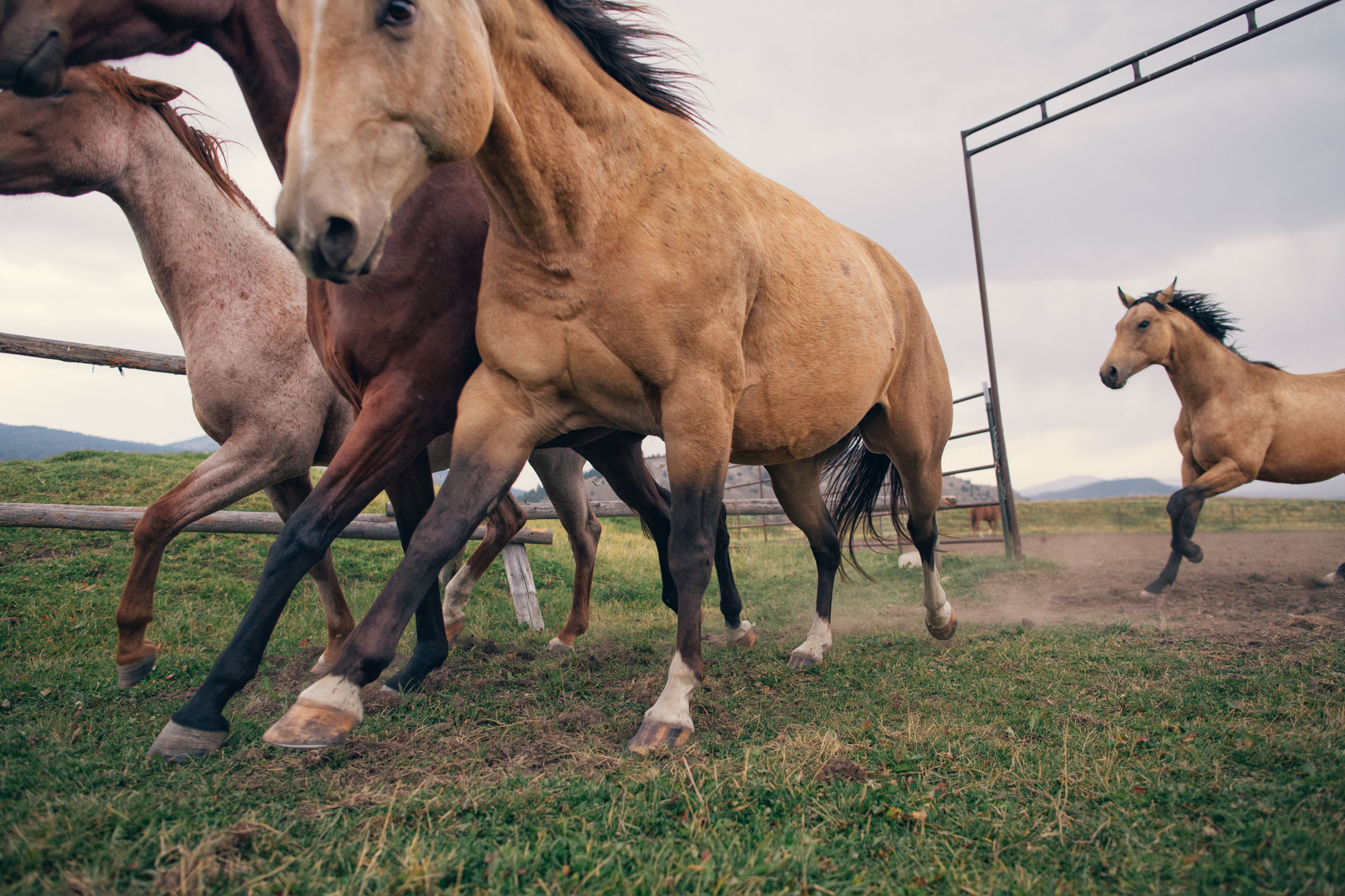 WOT_RANCH_0840-Edit.jpg
