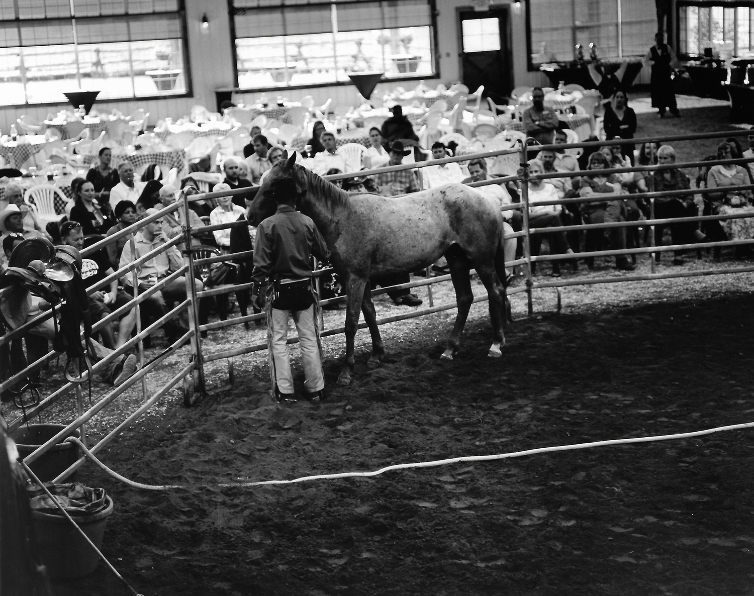 Wyoming_Brids_Scans_0037.jpg