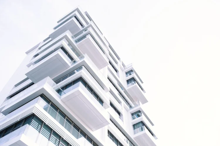 Image by Grant Lemons/ PEXELS