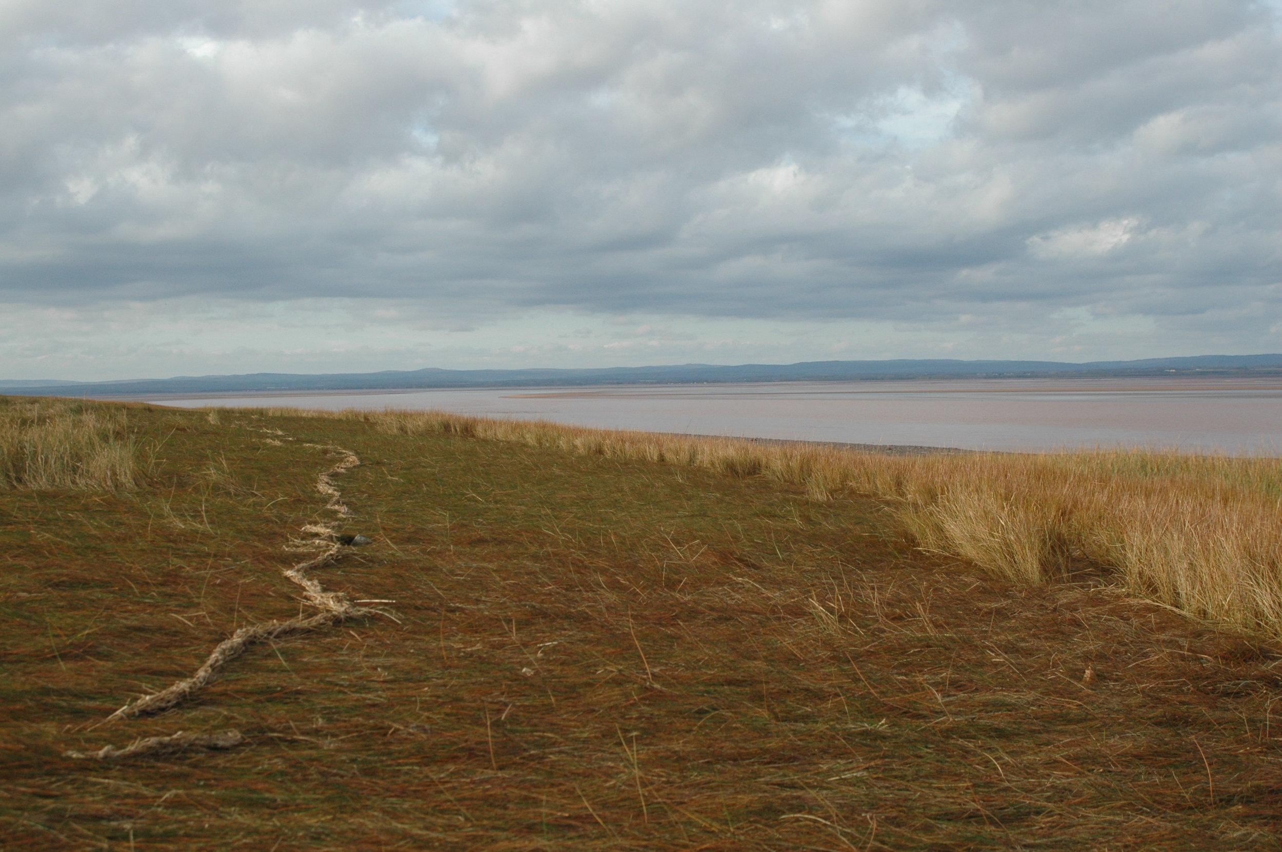 tideline, shubenacadie