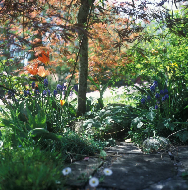 Garden_squarespace-11.jpg