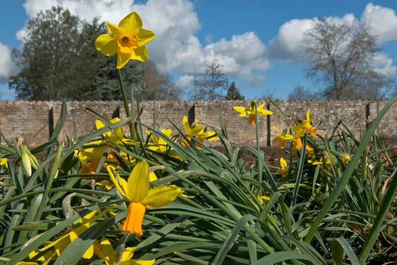 Broadleigh-15.jpg