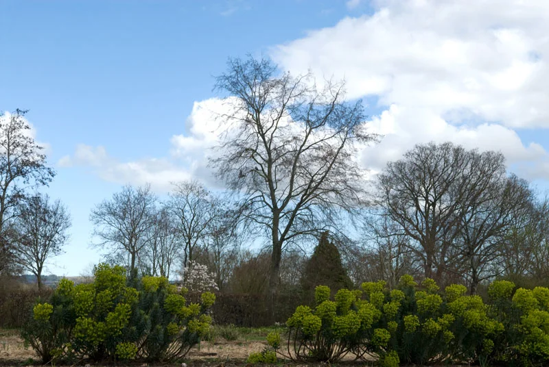 Broadleigh-44.jpg