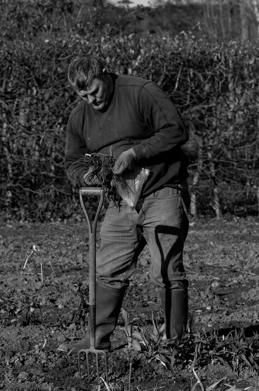 Broadleigh-63.jpg