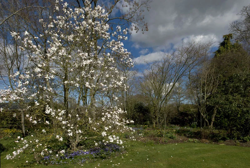 Broadleigh-94.jpg