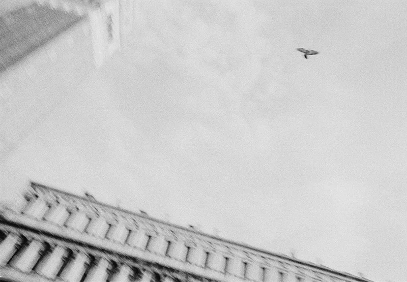 foto 19.jpg