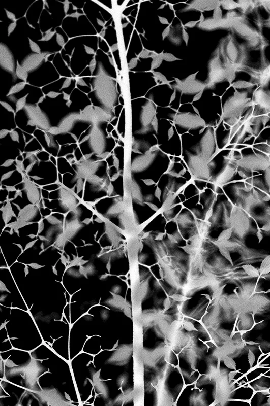 20120418-_DSC0534.jpg