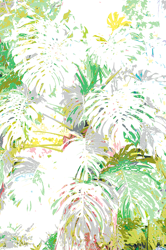 _DSC7217_Monstera.png