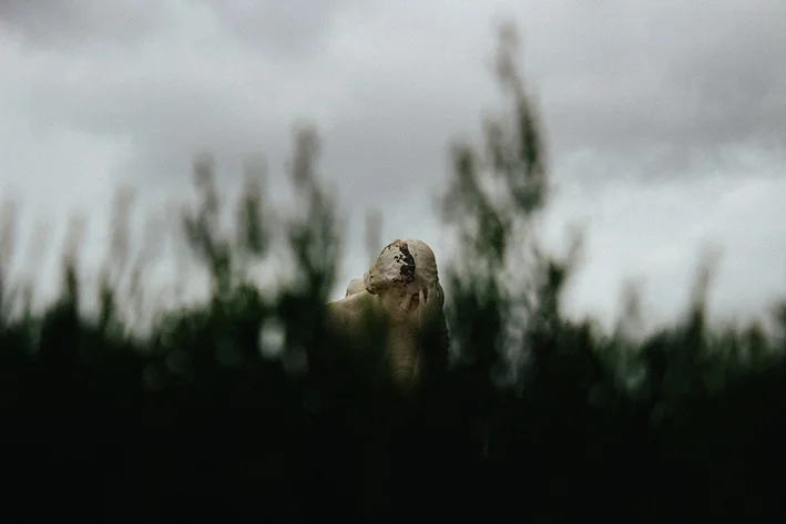 JesusBarreroHuelva-7.jpg