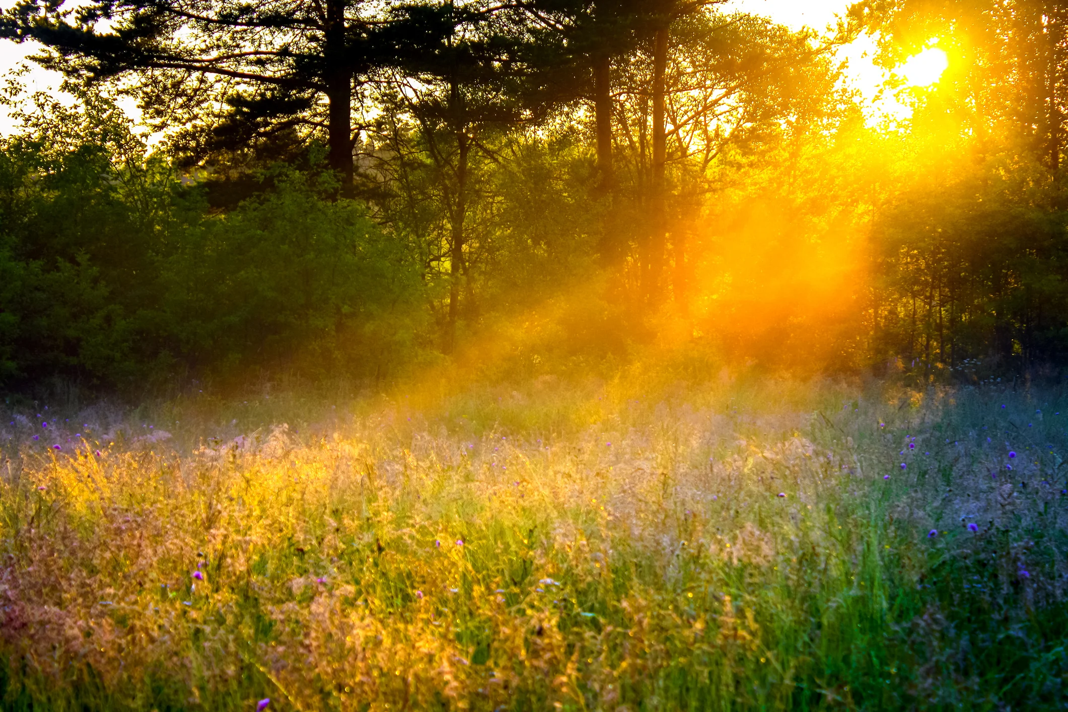 Monthly Mindfulness Group