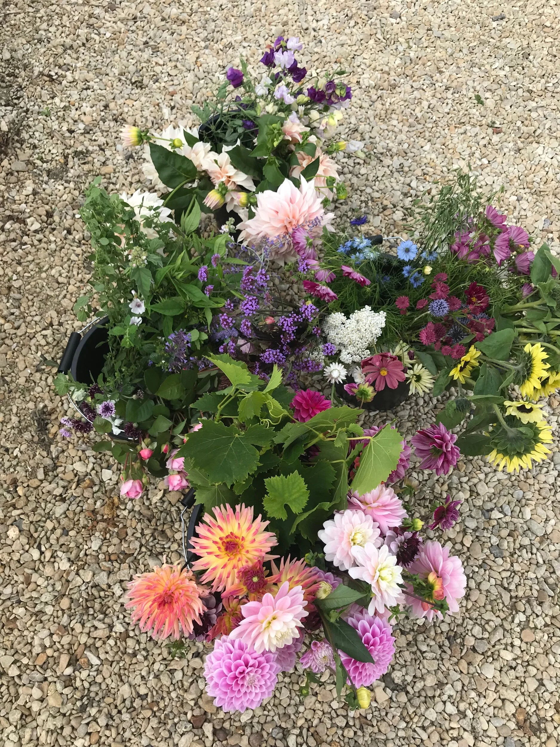 BB35DB43-1C5D-46B2-B0B7-B833AAFEA996